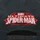 Gorra Visera Plana Spiderman Logo Bordado