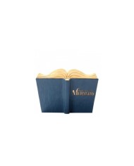 Disney Traditions : Undersea Dreaming (Storybook The Little Mermaid)