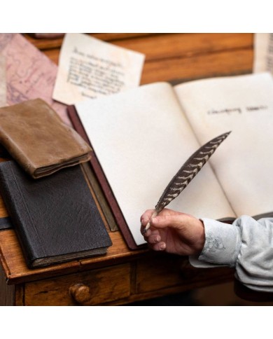 Bilbo Baggins (Classic Series) El Señor de los Anillos Estatua 1/6