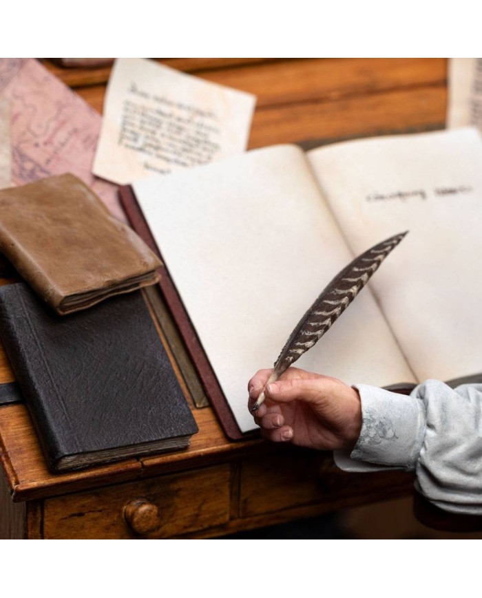 Bilbo Baggins (Classic Series) El Señor de los Anillos Estatua 1/6