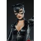 Catwoman Premium Format DC Comics