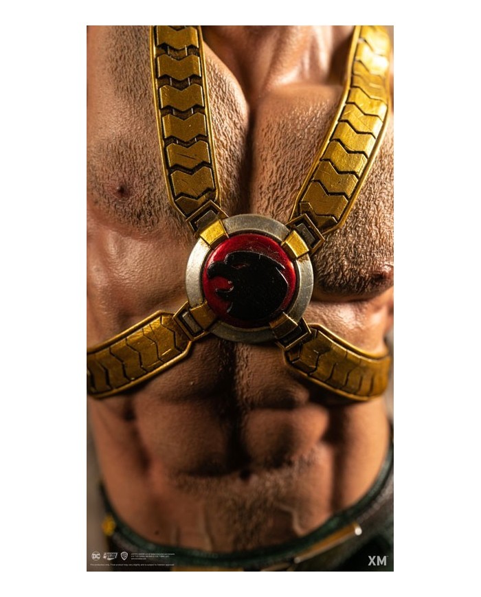 Hawkman - Rebirth Premium Collectibles XM Studios