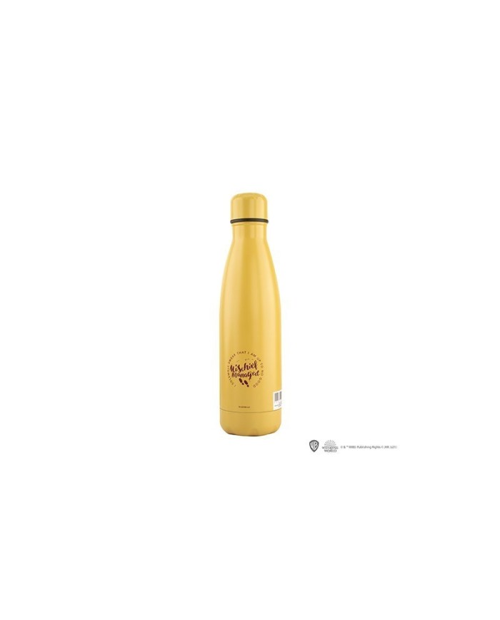 Botella isotermica 500ml - Mapa del Merodeador - Harry Potter