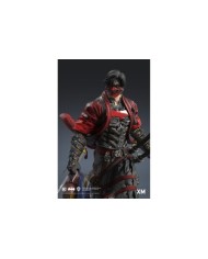 Red Hood - Samurai Series