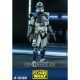 Clone Trooper Jesse Sixth Scale Figure by Hot Toys Television Masterpiece Series – Star Wars: The Clone Wars