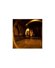 Bag End on the Hill Limited Edition - El Señor de los Anillos