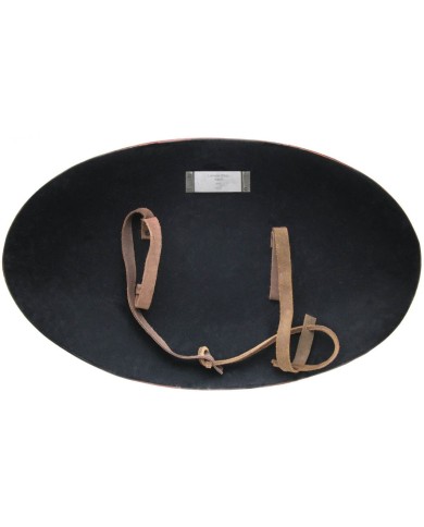 Juego de Tronos Réplica 1/1 Escudo de Lannister