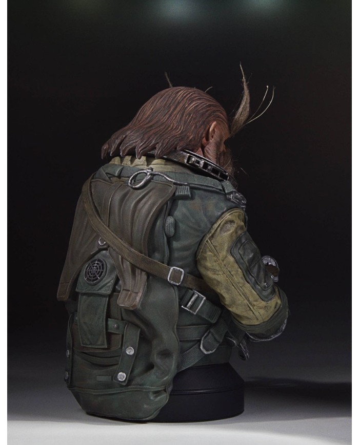 Star Wars Rogue One Busto 1/6 Bistan