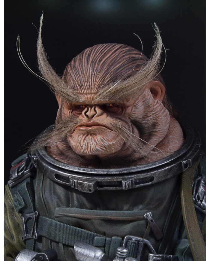 Star Wars Rogue One Busto 1/6 Bistan