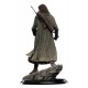 Aragorn, Hunter of the Plains (Classic Series)