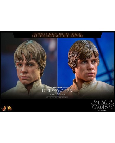 Luke Skywalker Bespin (Deluxe Version) Star Wars Episode V