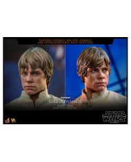 Luke Skywalker Bespin (Deluxe Version) Star Wars Episode V
