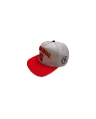 Gorra Béisbol College Gryffindor - Talla Adulto - Harry Potter