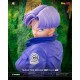 TRUNKS' TIME MACHINE HQS DIORAMAX 1/6