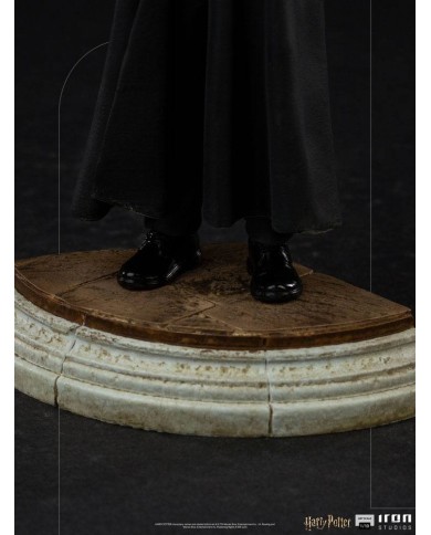 Harry Potter - Art Scale Statue 1/10 - Harry Potter