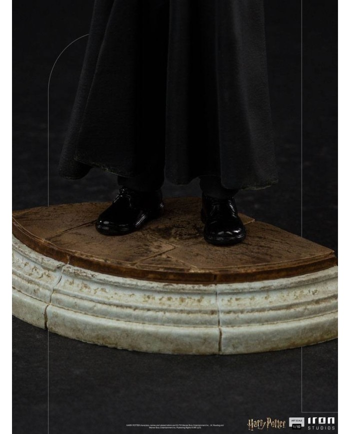 Harry Potter - Art Scale Statue 1/10 - Harry Potter
