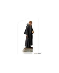 Ron Weasley - Art Scale 1/10