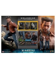 Wolverine (1973 Version) Deluxe Version - X-Men Días del futuro pasado