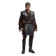 Anakin Skywalker Star Wars: Episode II Figura 1/6