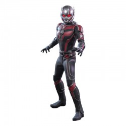 Ant-Man - Ant-Man and the Wasp: Quantumania - Sixth Scale Figure by Hot Toys