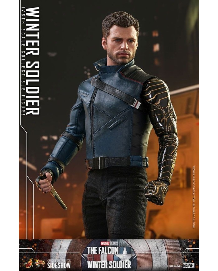 Winter Soldier - The Falcon and The Winter Soldier