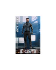 Winter Soldier - The Falcon and The Winter Soldier