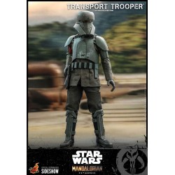 Transport Trooper Star Wars The Mandalorian Figura 1/6