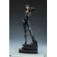 Catwoman Premium Format DC Comics