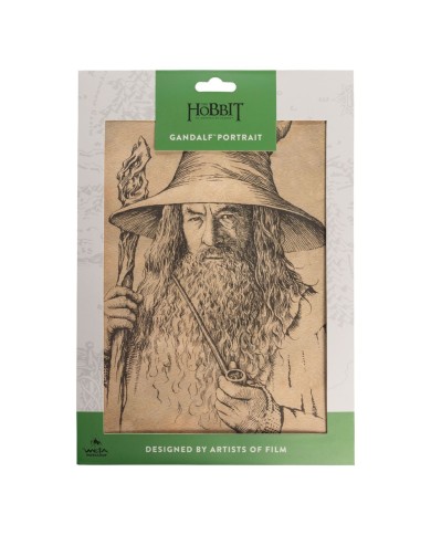 Litografia Portrait of Gandalf the Grey