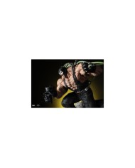 Bane - Classic 1/6 Scale DC Premium Collectibles statue