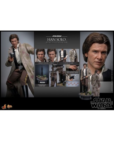 Han Solo Star Wars: Episode VI Figura 1/6
