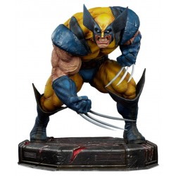 Wolverine: Berserker Rage