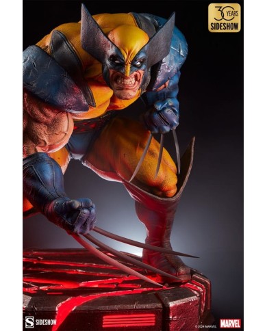 Wolverine: Berserker Rage