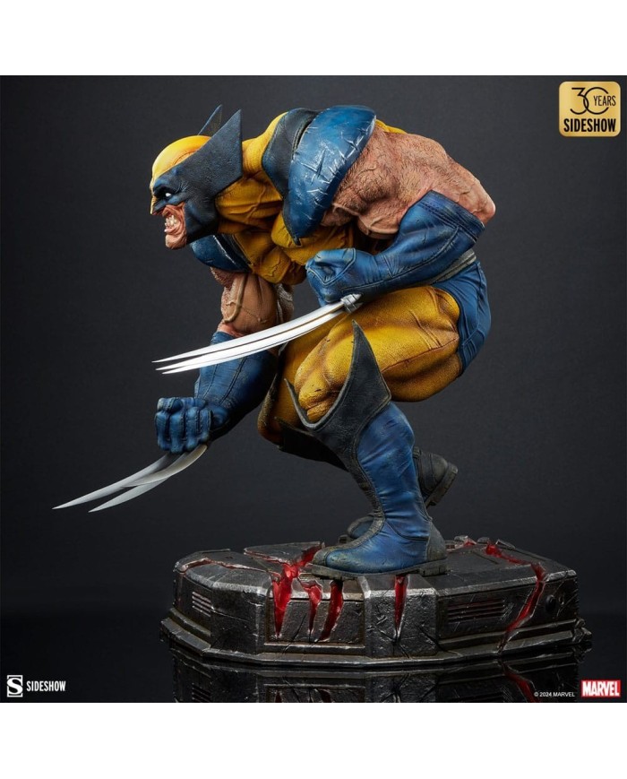 Wolverine: Berserker Rage