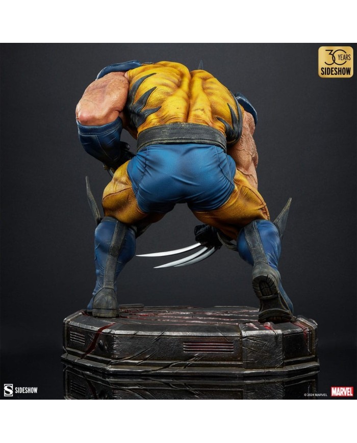 Wolverine: Berserker Rage