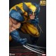 Wolverine: Berserker Rage