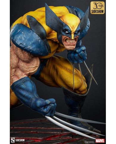 Wolverine: Berserker Rage