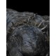 Cave Troll Estatua El Señor de los Anillos