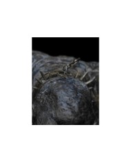 Cave Troll Estatua El Señor de los Anillos