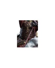 King Theoden on Snowmane El Señor de los Anillos Estatua 1/6