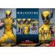 Wolverine - Deadpool & Wolverine Movie Masterpiece Figura 1/6