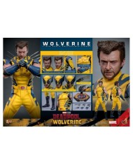 Wolverine (Deluxe Version) - Deadpool & Wolverine Movie Masterpiece Figura 1/6