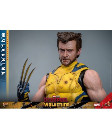 Wolverine (Deluxe Version) - Deadpool & Wolverine Movie Masterpiece Figura 1/6