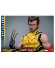 Wolverine (Deluxe Version) - Deadpool & Wolverine Movie Masterpiece Figura 1/6