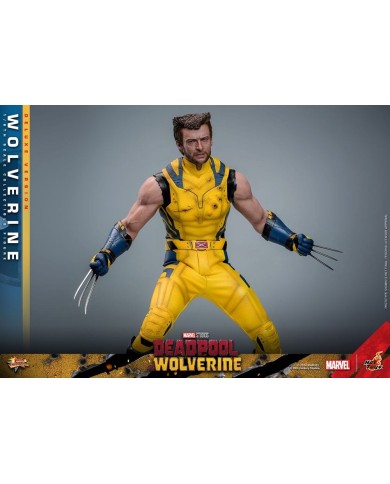 Wolverine (Deluxe Version) - Deadpool & Wolverine Movie Masterpiece Figura 1/6