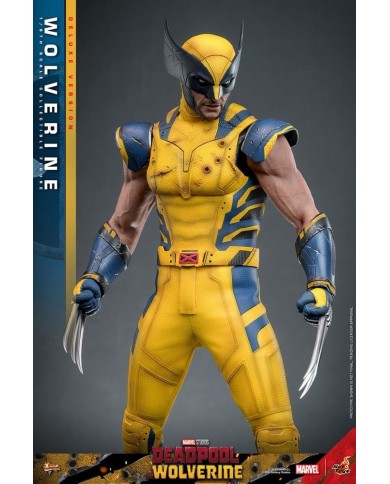 Wolverine (Deluxe Version) - Deadpool & Wolverine Movie Masterpiece Figura 1/6