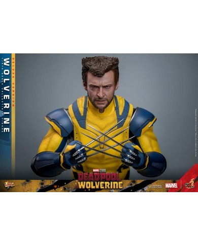 Wolverine (Deluxe Version) - Deadpool & Wolverine Movie Masterpiece Figura 1/6