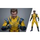 Wolverine (Deluxe Version) - Deadpool & Wolverine Movie Masterpiece Figura 1/6