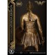 Wonder Woman Training Costume Gold Version