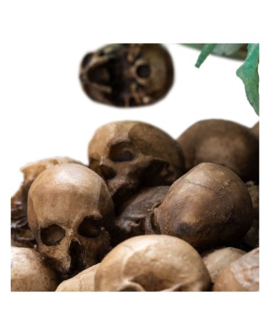 King of the Dead Limited Edition El Señor de los Anillos Estatua